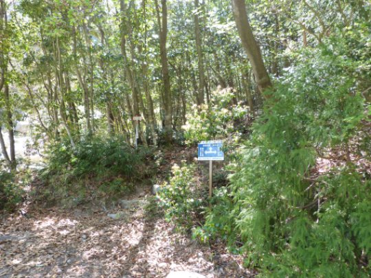 国見尾根道登山口